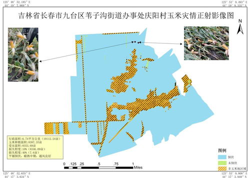 安华农险助力绿色经济 破题吉林省林业保险线上化